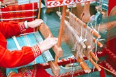 Этноскоп 10